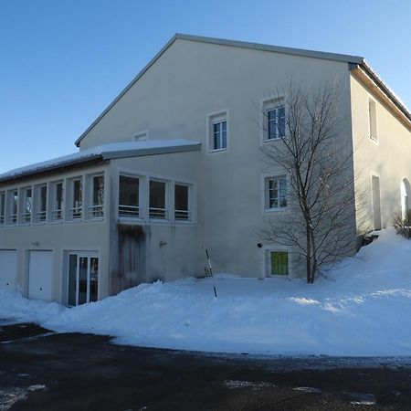 Apf France Handicap - Ferme Leonie Saint-Laurent-en-Grandvaux Εξωτερικό φωτογραφία